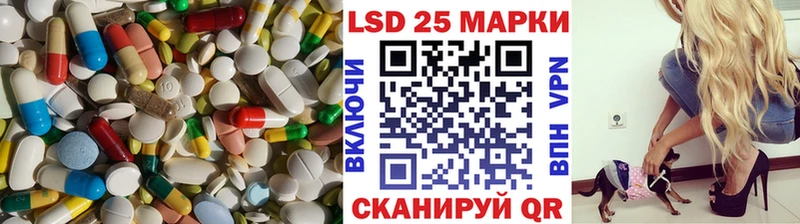 как найти закладки  МЕГА маркетплейс  ЛСД экстази ecstasy  Котельнич 